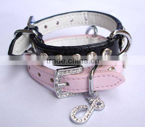 dog pet accessories