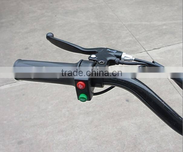 800W Cheap Folding Electric Skateboard Electric Scooter
