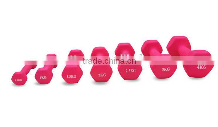 Exercise Equipment Cast Iron Neoprene Dumbbell for Women