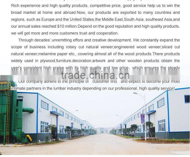 phome window privacy film/melamine paper supply from shandong wahkoon company