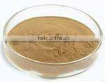 Reishi Mushroom Extract 30% Polysaccharides (UV-VIS)