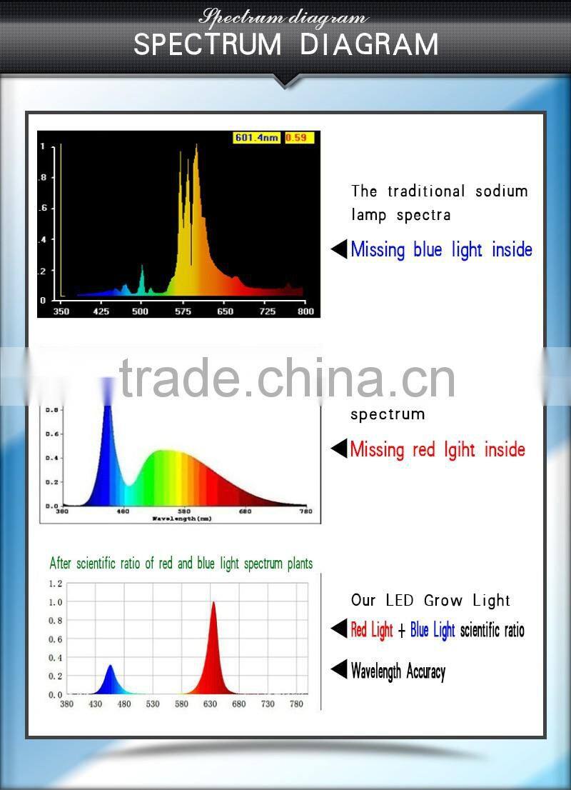 UV Red Blue indoor hydroponic 300w led grow lamp
