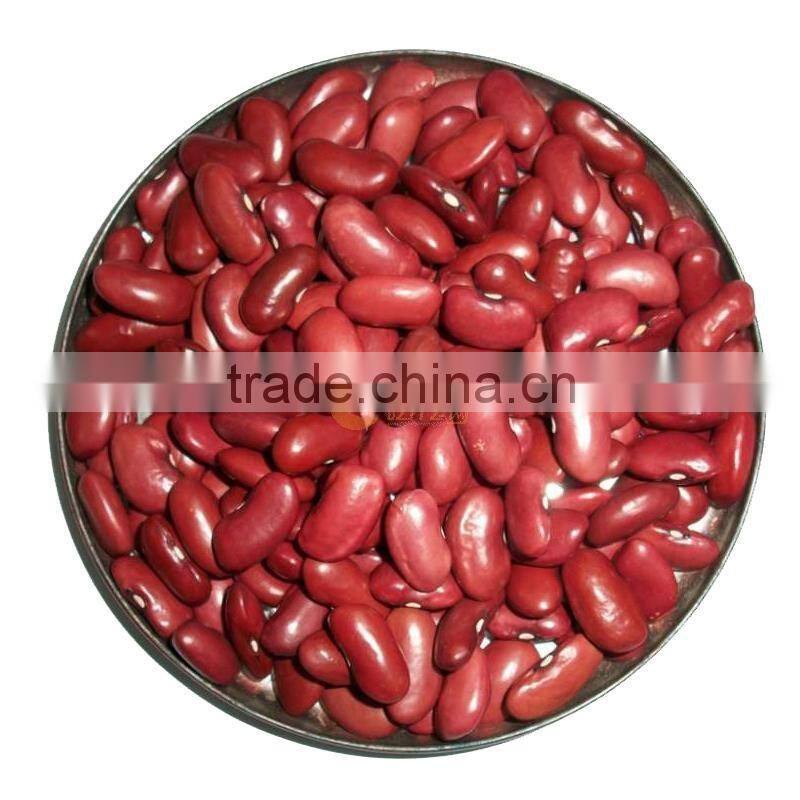 British type red kidney beans