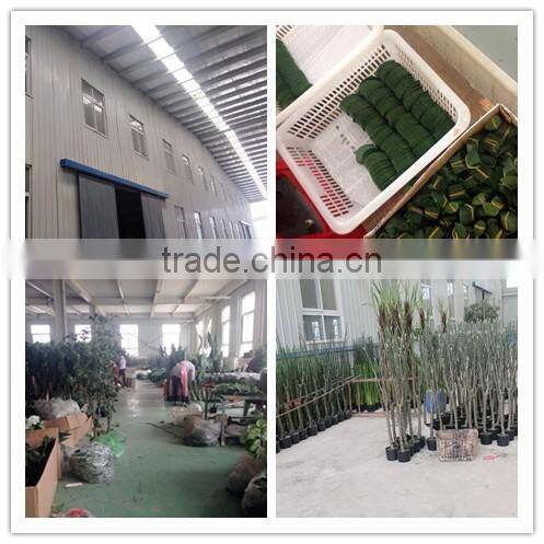 Best Quality Imitation Artificial Yulan Magnolia Tree Potted