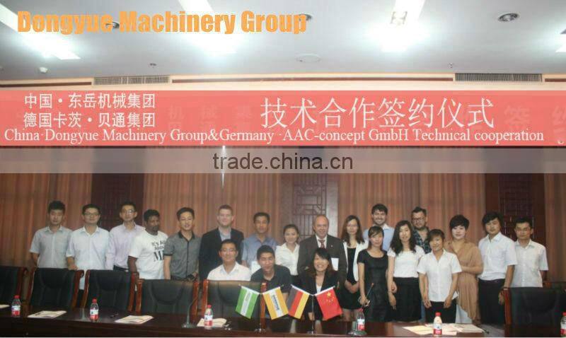 thermal insulated blocks from Chinese manufacturer Dongyue Machinery Group