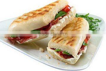 CE Aproval Electric Panini Grill