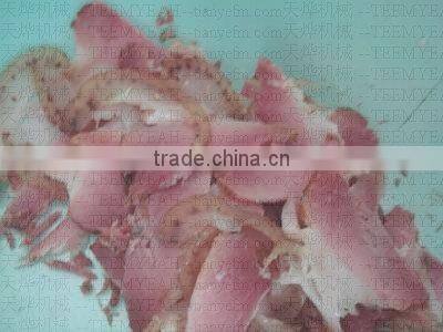 TW-804 Digital Control Cooked Meat Cutting machine (Video)