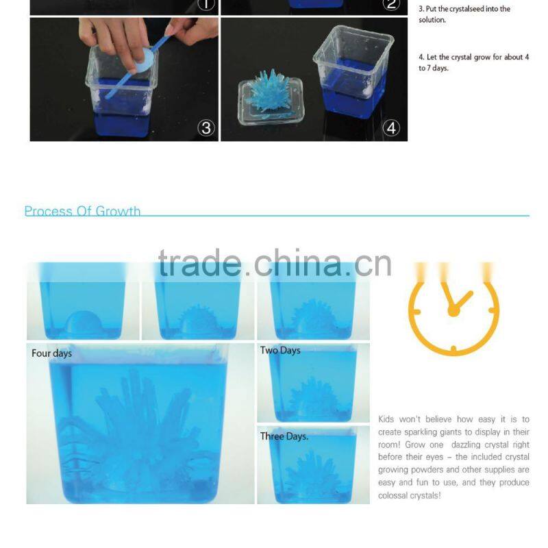 DIY handmade gifts for kids - Crystal Growing Kit Flower
