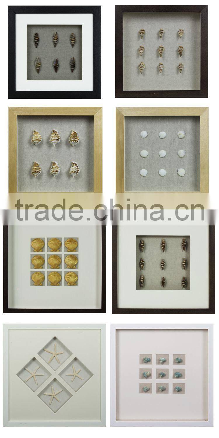 Modern Art Home Decoration Art Unique Seashell Shadow Boxes