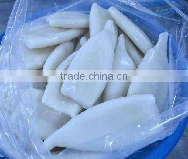 Frozen Squid Tube U10