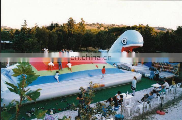 EN14960 Quality Guarantee inflatable bouncy mountain