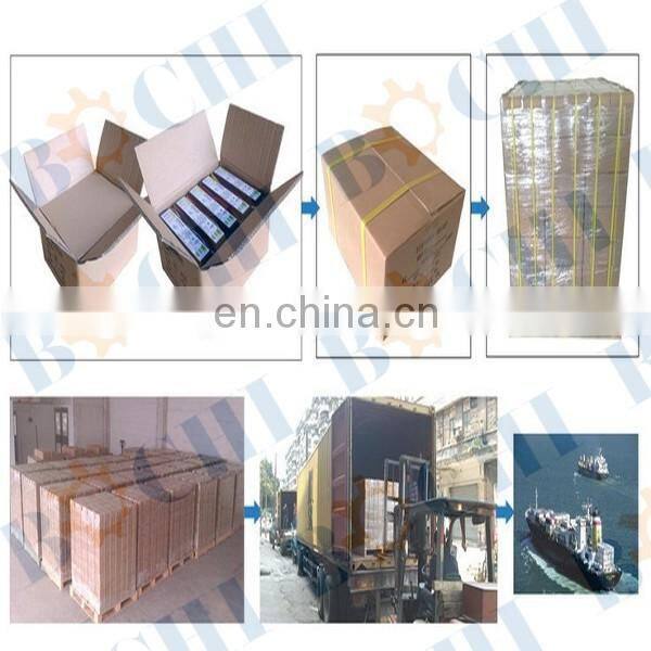 ROHS Electronic Ballast