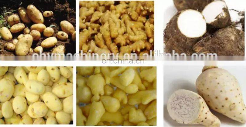 hot sale Industrial fruit vegetable skin peeler small electric potato carrot peeling washing machine