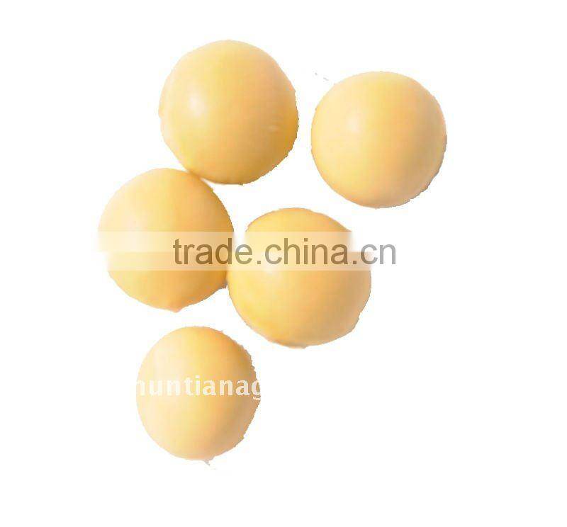 Chinese Non GMO Organic Soybeans