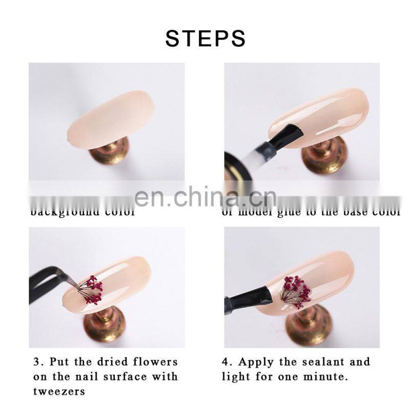 Dry Flower Nail Digit Nail And Smart Flower Printer