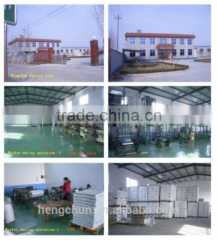 Plastic biodegradable dog poop bag with high quality