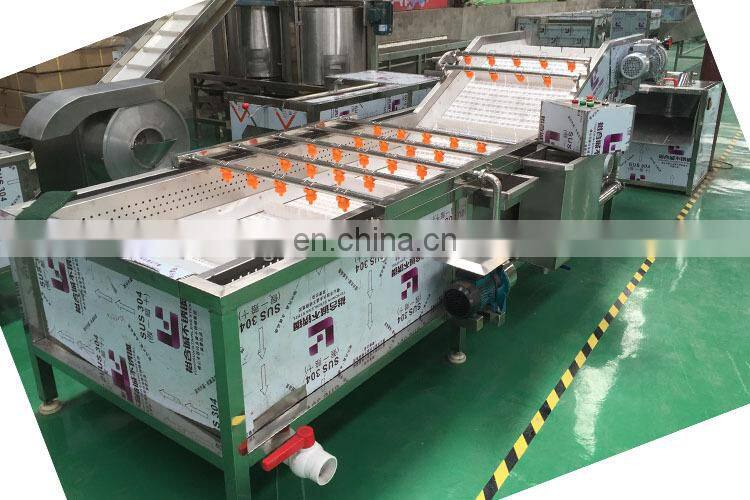 Commercial apple almond cleaning machine fruit washing machine for strawberry