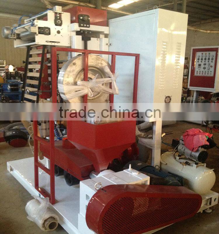 ruian city good quality high speed mini pe film blowing machine