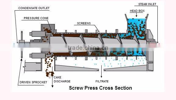 Low price cold press avocado neem seed extraction machine