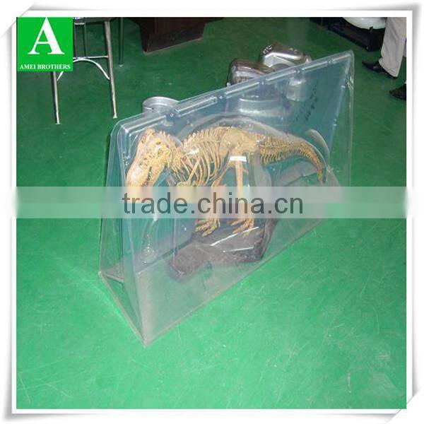vacuum forming compartment plastic blister tray packaging