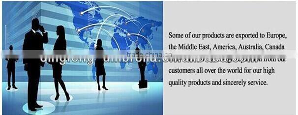 New design 3D poe transparent umbrella manufacturer