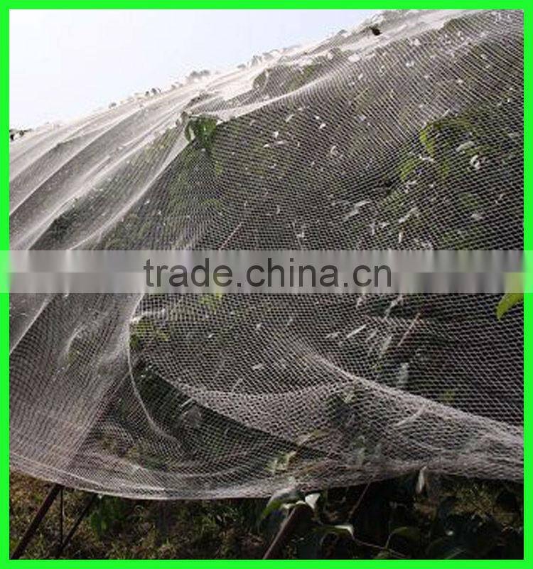 small mesh hail net, plastic prevent bird netting