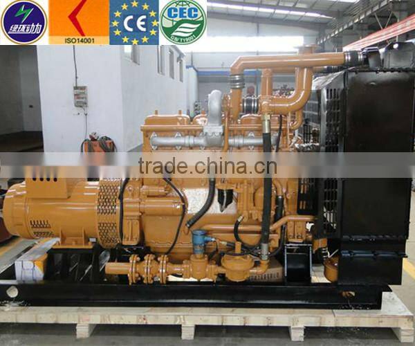 coal gasifier generating electricity 300kw gas genset