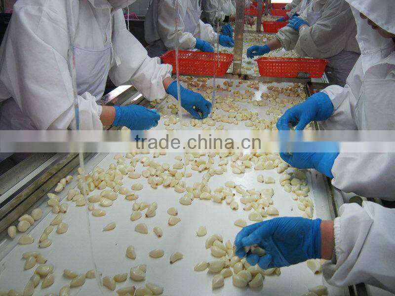 In Brice Peeled Garlic Cloves