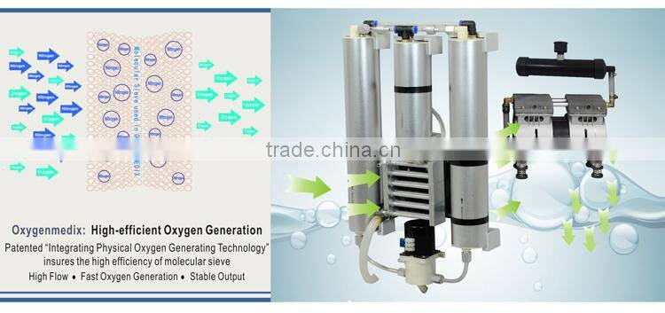 High Density Oxygen and Dermabrasion Facial Machine (CE, ISO13485, Since 1994)