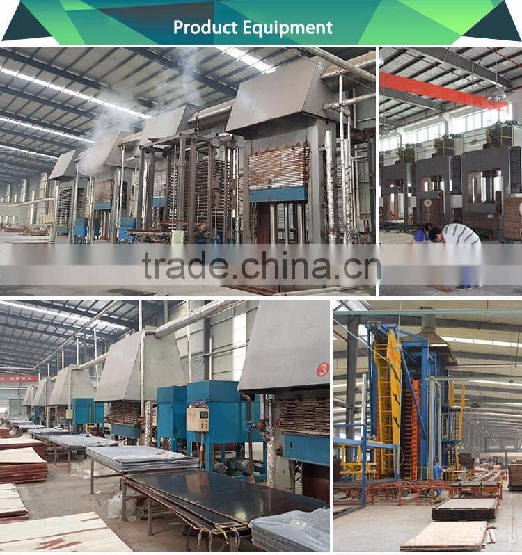 Hardwood Brich reusable Concrete Formwork Plywood