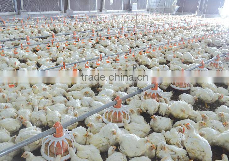 automatic broiler feeding system galvanized poultry feed silo for sale