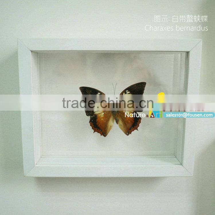 FOUSEN(034) Nature& Art natural species glass wedding souvenirs