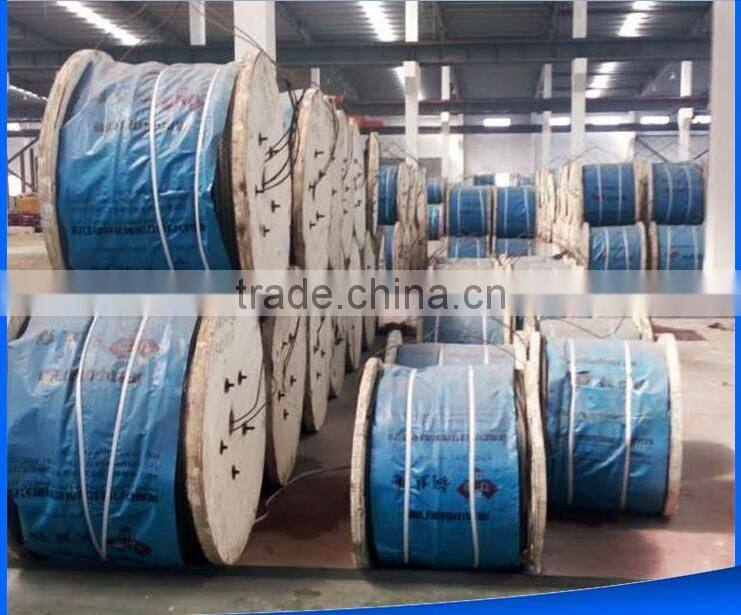 standard carbon brush stainless steel wire/16mm steel wire rope