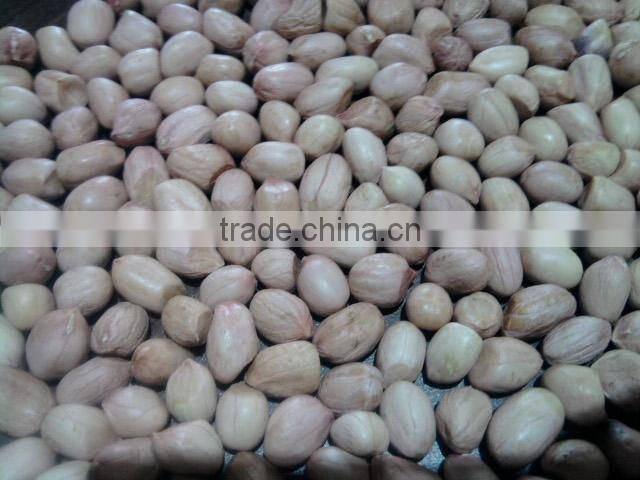 80/90 JAVA PEANUT KERNEL