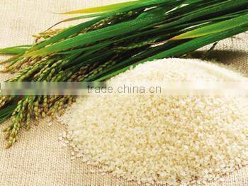 Good quality wholesale white rice vinegar 750g