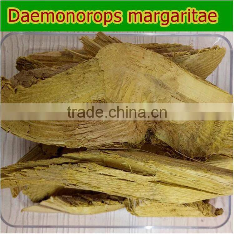 Herbal Medicine Common Fibraurea Stem Treating Diabetes