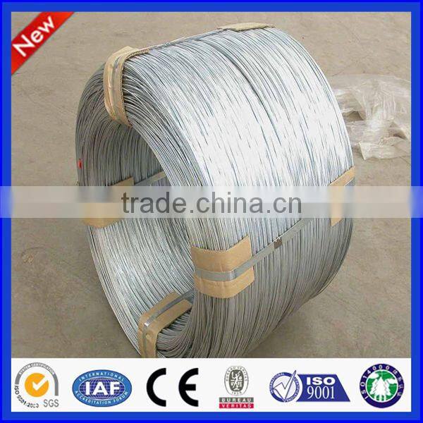 Electric or hot dipped galvanized wire with best price
