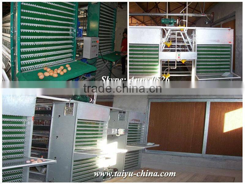TaiYu Factory chiken house