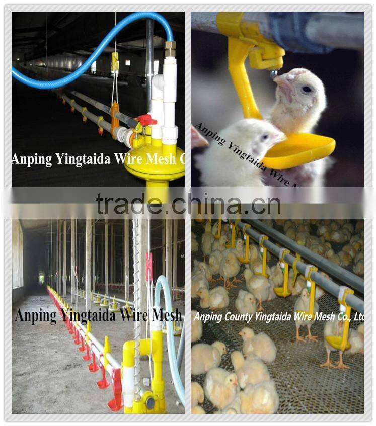 standardized chicken/broiler shed equipment producers