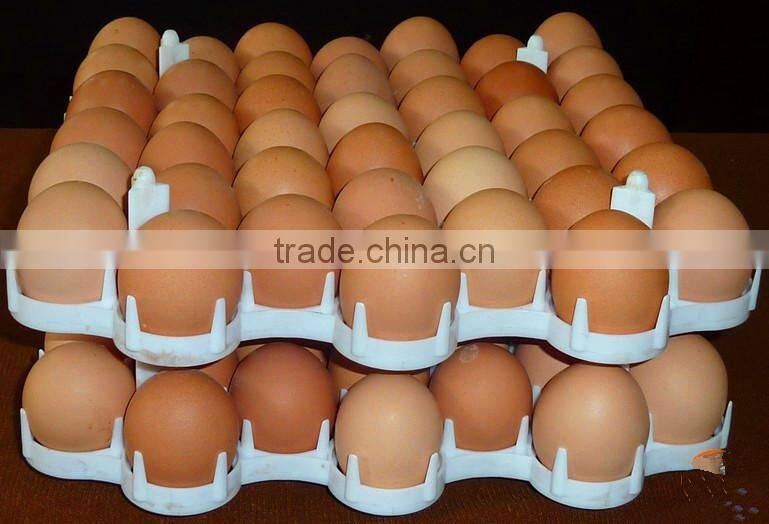 egg incubator hatchery price