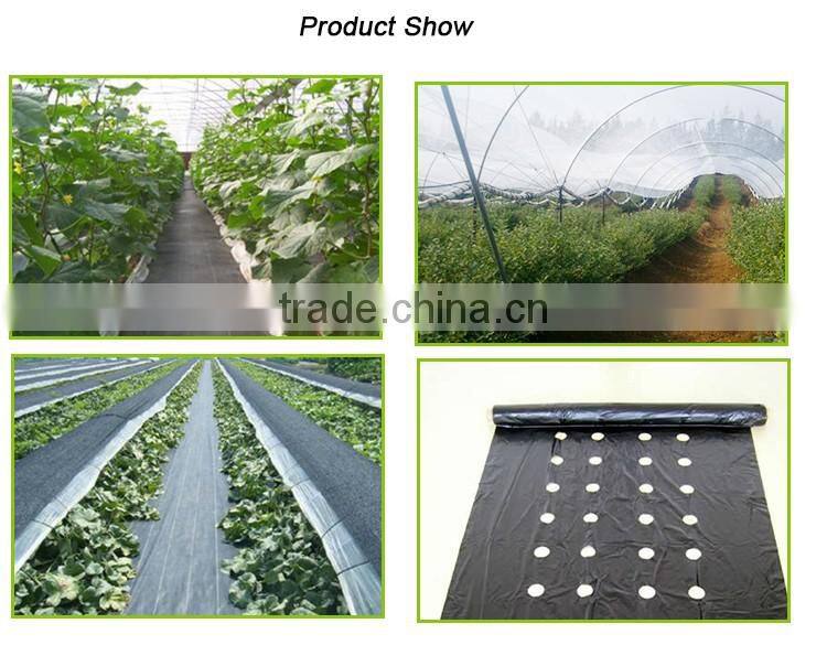 100% PP Material Agricultural Ground Cover From China (Mainland)