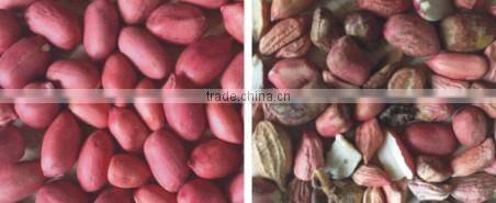 Portable Automatic CCD Peanut Belt Type Color Sorter