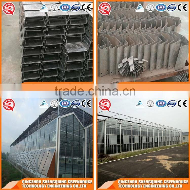 China Venlo glass greenhouse/greenhouse steel frame planting grows