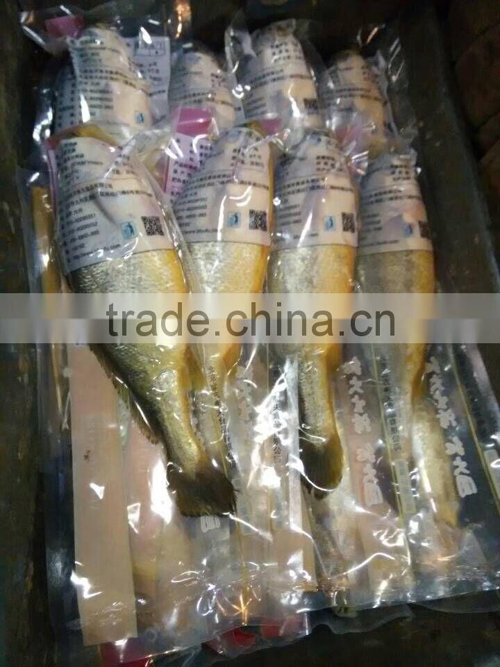 frozen yellow croaker on sale IQF 400-500g ,IWP