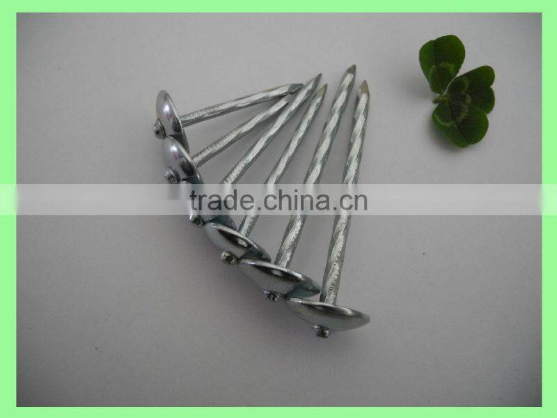 2.5'' umberlla roofing nails, 25kg per carton/50kg/gunny bag