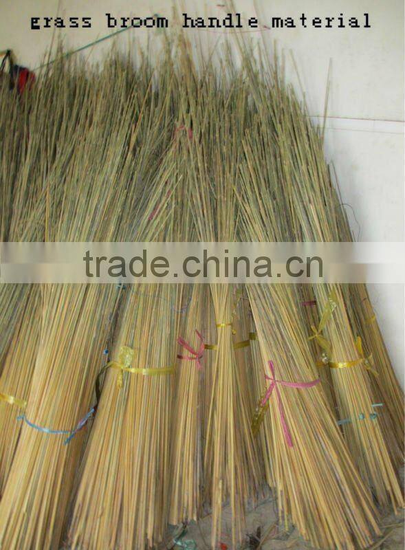 hot sale india grass broom with handle