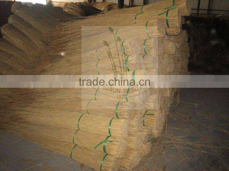 thatch roofing reed