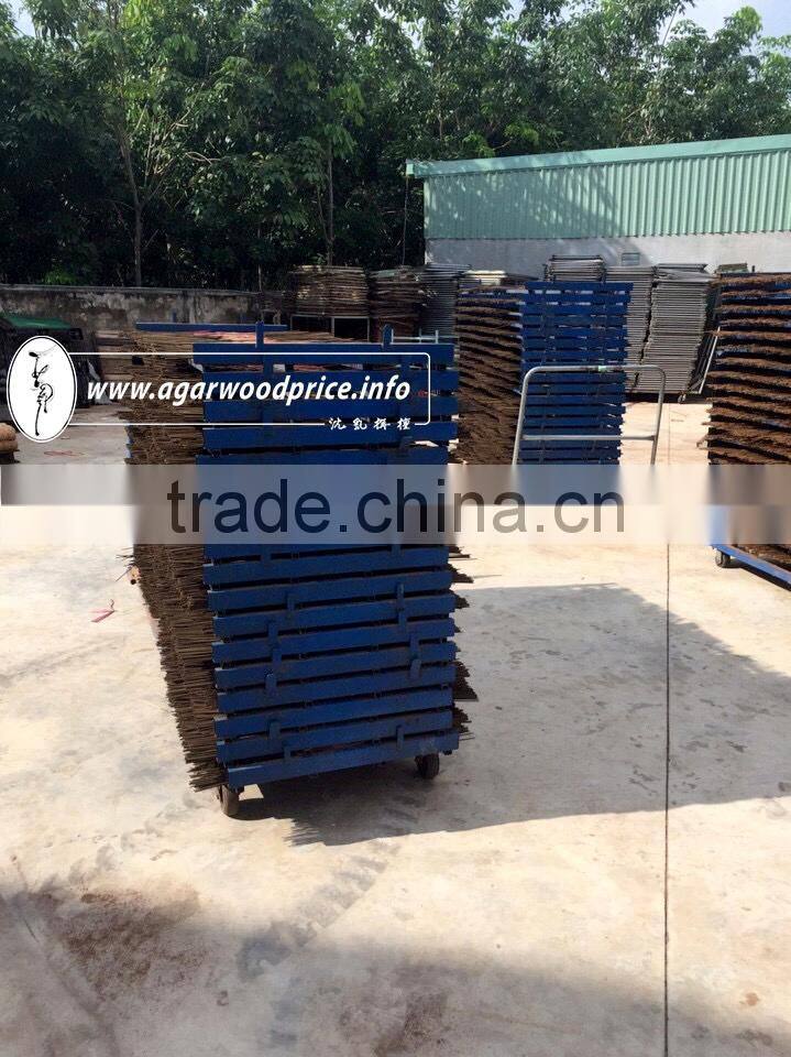 Vietnam original High quality Agarwood incense powder - sweet mad mild scent when burning, supply with large quantity