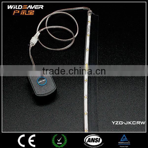 Low volt mini LED strip light powered by battery durable flexible waterproof
