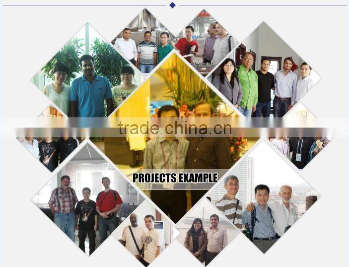 Automatic High Yield tneedle bread crumbs machinery